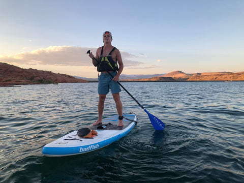 Paddleboard Rental