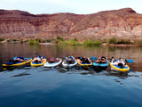 Paddle Club Unlimited - BLACK FRIDAY! 65% OFF!