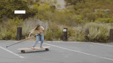 demo Pinger carve cruise landpaddle skate longboard
